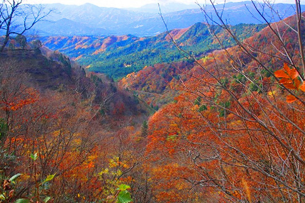 阿多岐山の紅葉観光　貸別荘ポンタハウスを拠点に岐阜観光！